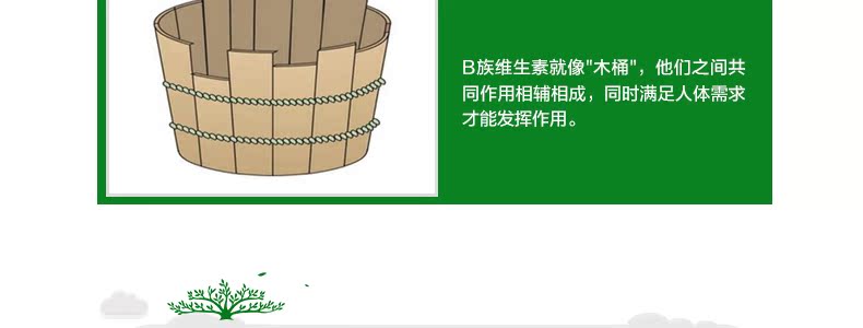 澳洲NaturesWay复合维生素B族200粒维他命VB男性护肝缓解熬夜疲劳 家庭保健 第14张 澳洲NaturesWay复合维生素B族200粒维他命VB男性护肝缓解熬夜疲劳 家庭保健 第14张