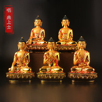 Five-party Buddha Tibetan Resin Color Golden Amita Buddha Dr. Shika Pharmacist