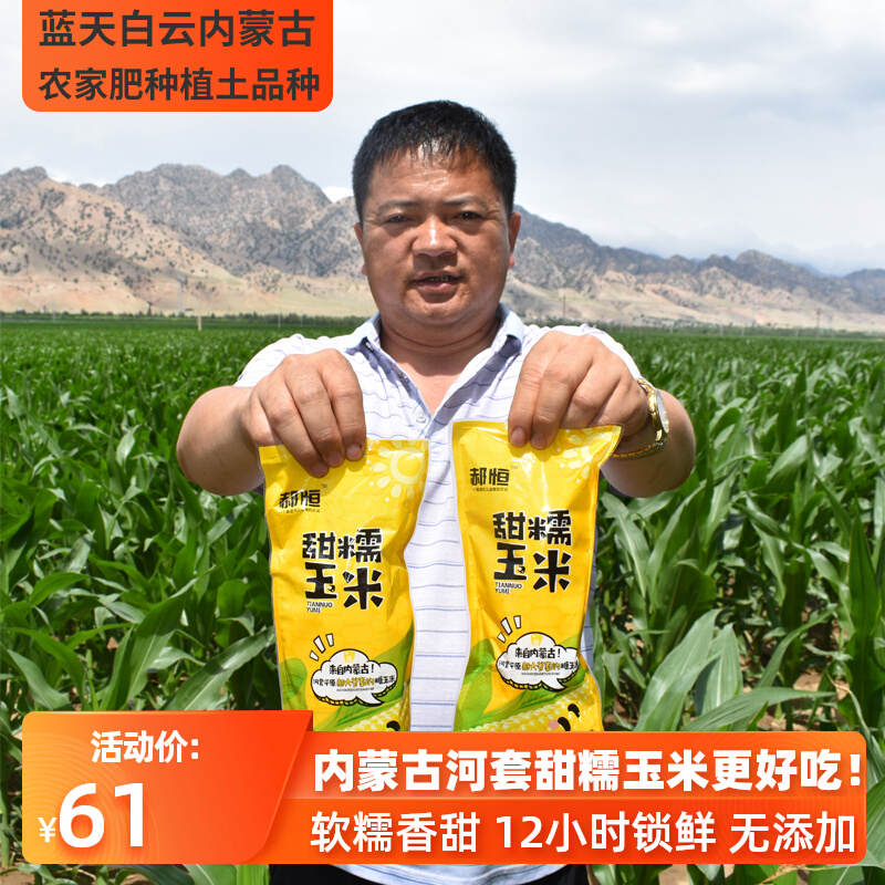 Inner Mongolia sweet corn fresh sweet glutinous sugar corn sticky glutinous rice sticky corn cobs vacuum nutritious breakfast cereals 12 pieces