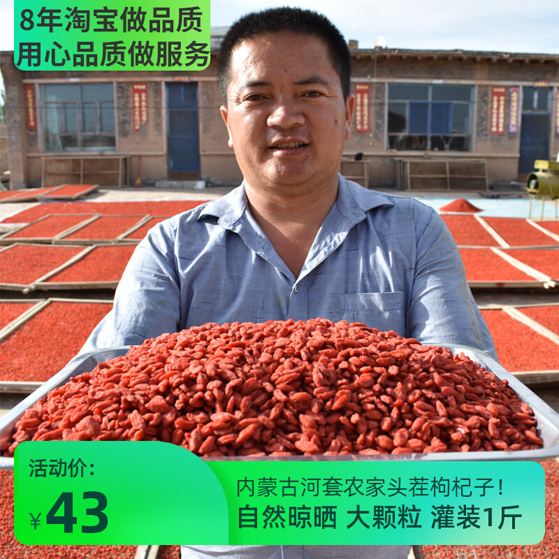 Inner Mongolia wolfberry 500g filling authentic wash-free large grain male kidney tea red gouqi dried without adding
