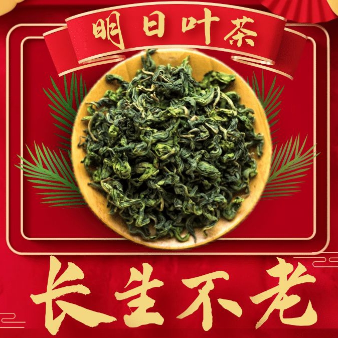 Ashitaba Tea Ashitaba Longevity Immortal Herb Yajo leaf authentic core production area health tea 50 grams