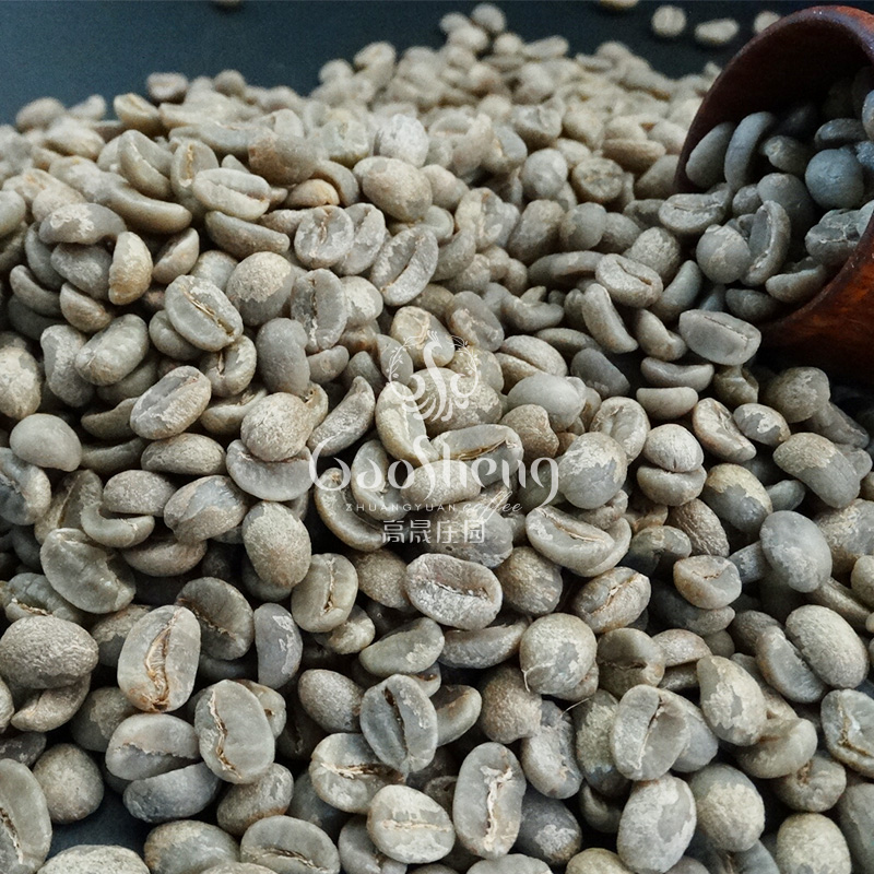A Catim coffee green beans Yunnan coffee beans Arabica washed 1000g Italian hand blending commercial