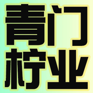 青柠门业工厂店