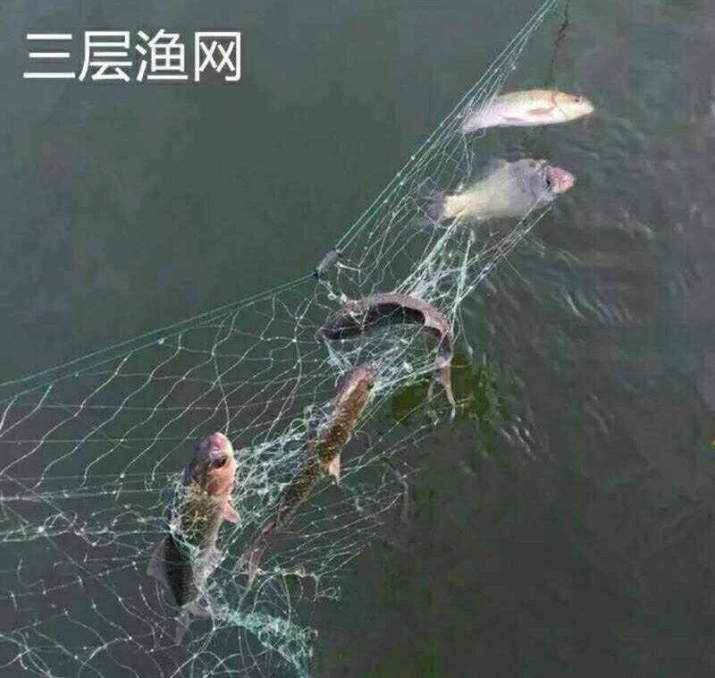 Imported green filament net sticky mesh mesh three layers of floating net fishing net fishing net white bar net