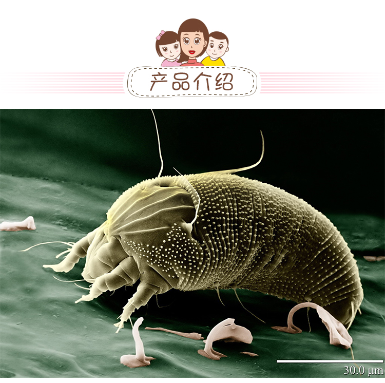 xịt muỗi chicco Nhật Bản 哼 螨 贴 贴 免 免 免 螨 床上 可视 可视 可视 可视 可视 - Thuốc diệt côn trùng chai xịt kiến