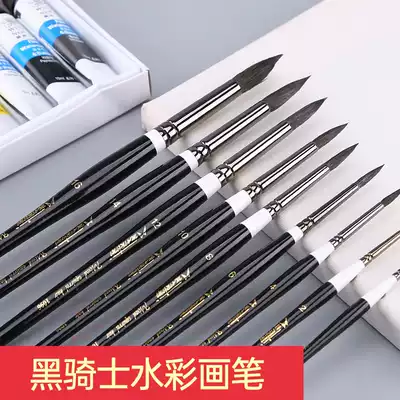 Martini Black Swan watercolor pen Black Knight mixed squirrel brush professional watercolor hook brush novice Special