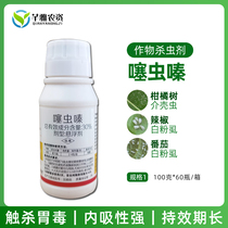 30% Thiamethoxam Suspension Scale Shell worms Whitefly Aphid Thrips Rice Plantopper Vegetable Flower Fruit Tree Pesticide