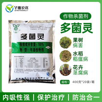 Carbendazim wettable powder soil disinfection fleshy flowers vegetables fruit trees internal fungicides delivery spoon