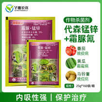 Zhongbao Frostomella net urea · manganese zinc 72% cucumber pepper tomato late blight downy mildew fungicide
