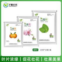 Foliar fertilizer general-purpose Flower vegetables fruit trees yellow leaves turn green a large number of elements to water soluble fertilizer foliar fertilizer nutrient solution