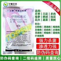RiCao Methyl Thibuzin 70% Jiato white powder soot anthracnose multi-meaty vegetable fruit tree pesticide fungicide