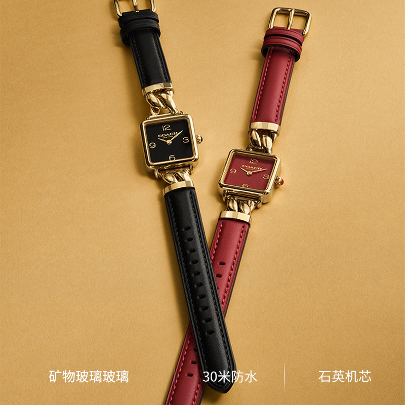 COACH Cass Series Small Square Leather Strap Watch for Women, Watch Gift