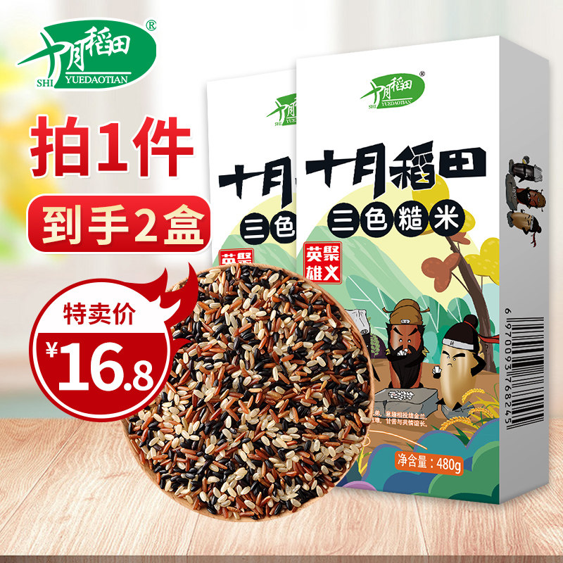 (Daily sale) October rice field Tricolor brown rice low fat amount of grain red black brown rice farmhouse yield 480g