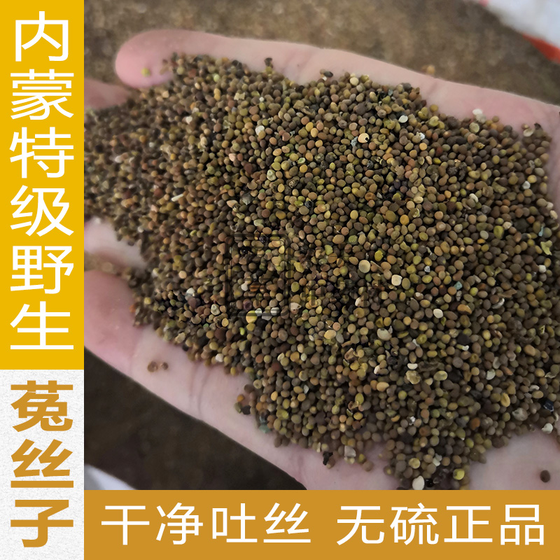 Dodder Silk Seed Tutu Silk Rabbit Inner Mongolia Medicinal Bubble Wine Stock 500g matched with Turbi Wort
