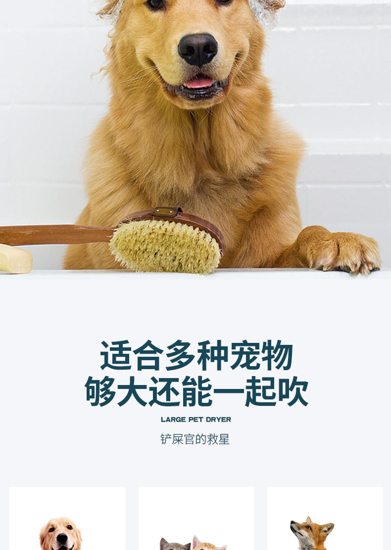 ПЭТ сушильный элемент 智能宠物烘干箱大型犬烘干机狗狗洗澡吹毛烘干神器吹风吹水机 Other home
