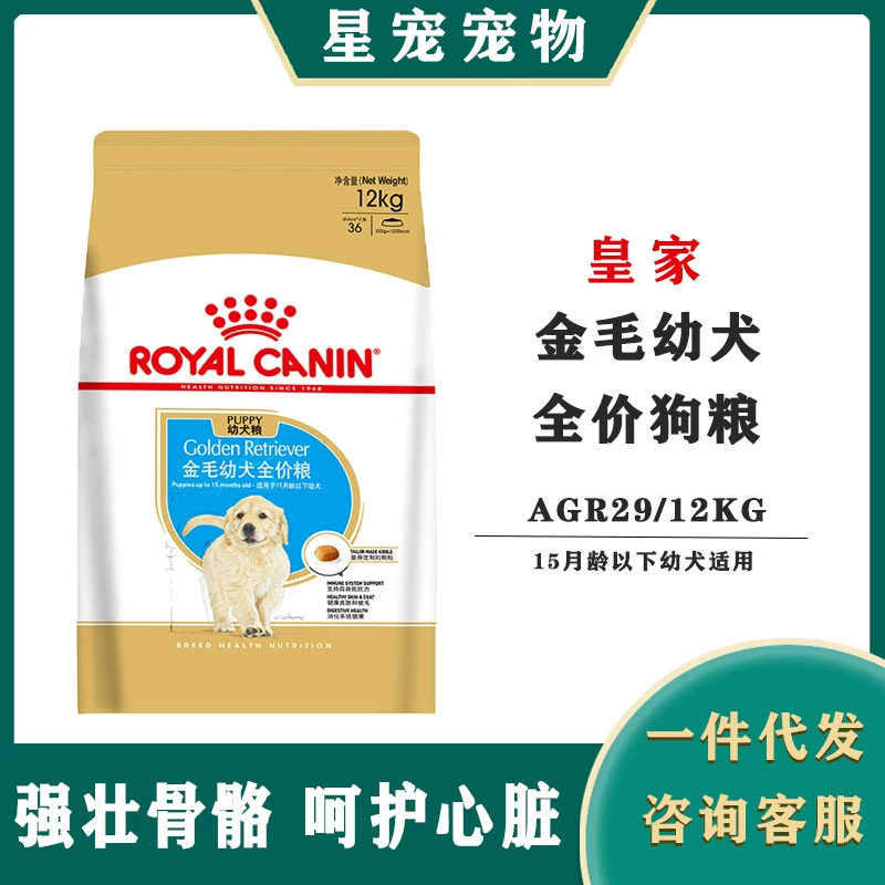 Thức ăn cho chó con Royal Golden Retriever AGR29 / 12KG Thức ăn đặc biệt cho chó con lớn để thúc đẩy sự phát triển Thức ăn chủ yếu cho chó - Chó Staples