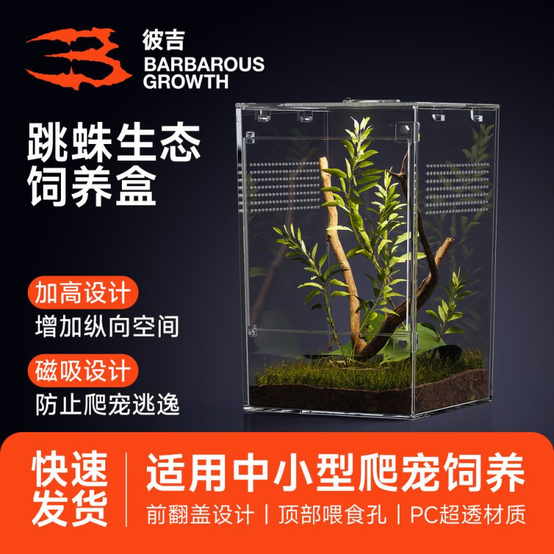 Acrylic Insect Breeding Box for Jumping Spiders, Bamboo Flies, Grasshoppers, Mantis, Desktop High-Transparency Lazy Insect Box, Reptile Acrylic Insect Breeding Box for Jumping Spiders, Bamboo Flies, Grasshoppers, Mantis, Desktop High-Transparency Lazy Insect Box, Reptile