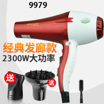 The God Of The Wind AIOLOS9979 Electric Hair Dryer Home Hair Salon Cold Hot Air Wind Wind 2300w High power