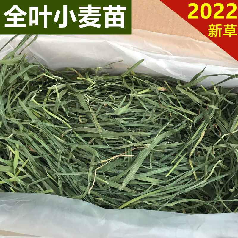 Drying Wheat Grass Hay Hay Whole Leaf Wheat Tender Wheat Tender Wheat Fry Rabbit Grass Dragon Cat Dutch Pig Herd Wheat 500g