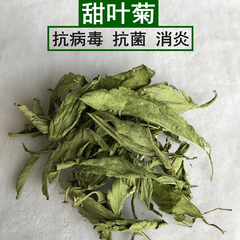 Sweet leafs Chrysanthemum Sweet Leaf Weed with Antiviral Germicide Anti-inflammatory Rabbit Dragon Cat Dutch Pig Guinea Pig Health Grass 50 gr