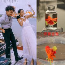 New creative travel simulation goldfish wedding photography props photo studio exterior photo Childrens photo props