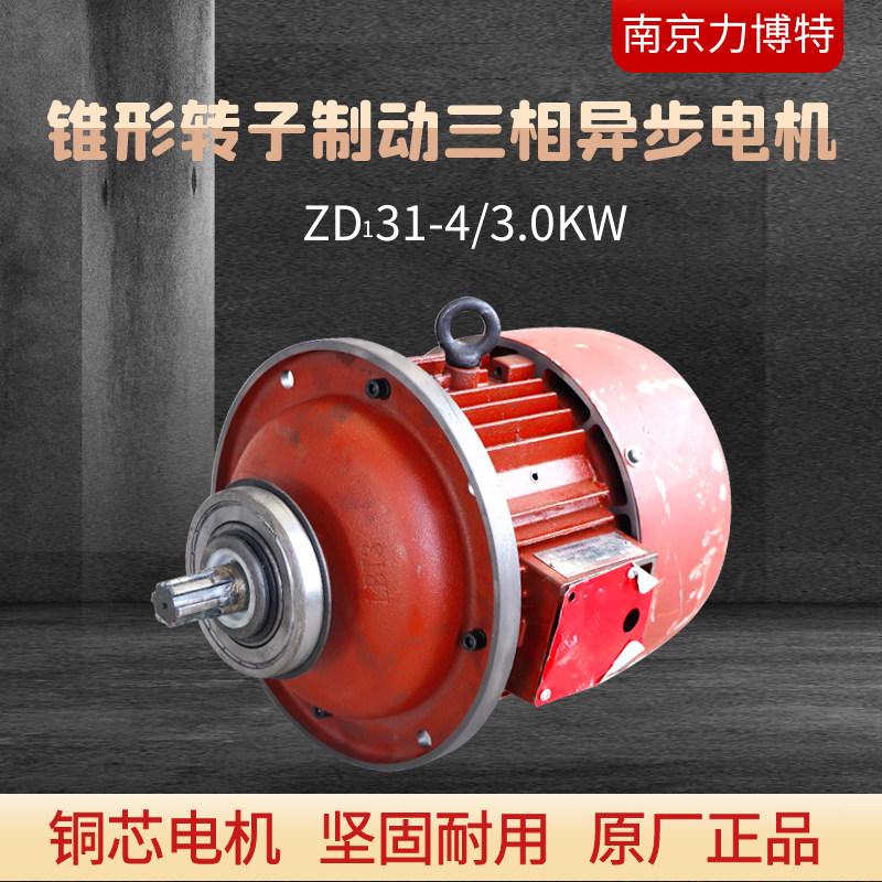 Nanjing Libert Conical Rotor Motor ZD131-4-3 0W2 Ton Electric Wire Hoist Main Lifting Motor