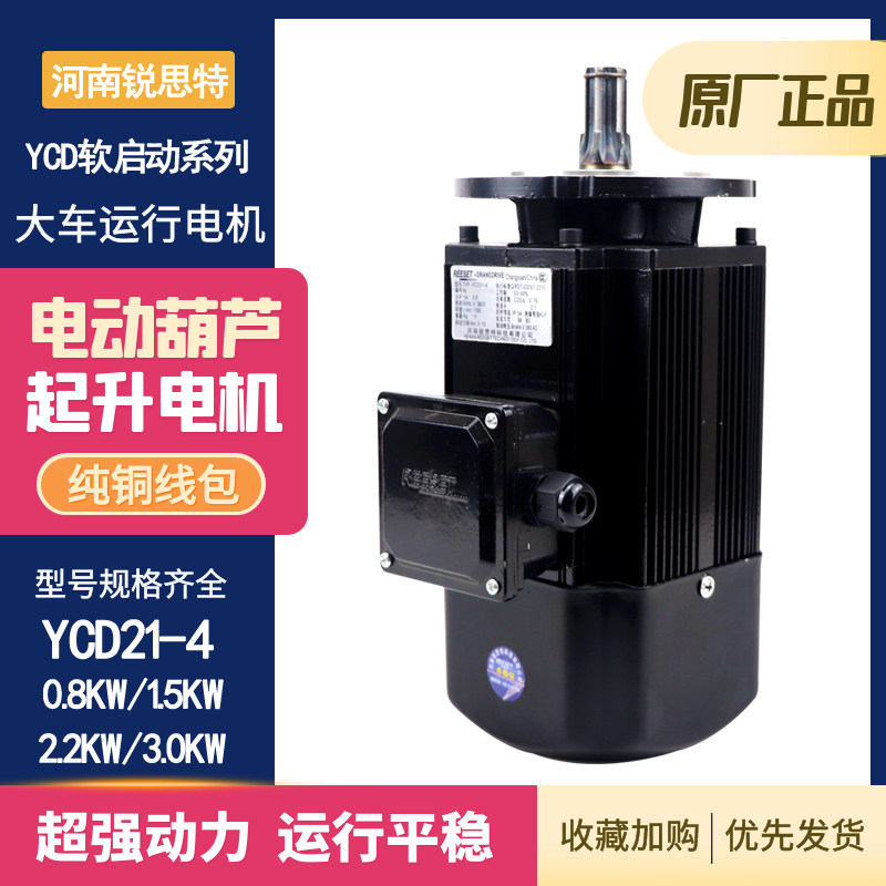 Henan Ruist hoisting motor YCD21-4 0 8KW YCD22-4-1 5KW soft start driving motor