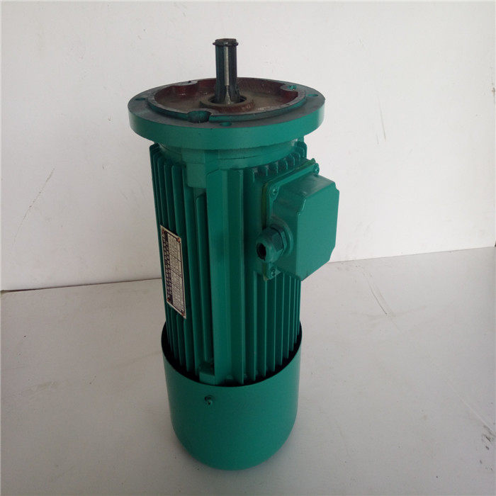 Solid rotor side magnetic brake three-phase asynchronous motor YSEP100M-4 3 0KW side magnetic brake motor