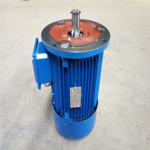 Solid rotor brake motor YSE100L1-4D-2 2KW lifting motor Ningbo New Chase Motor