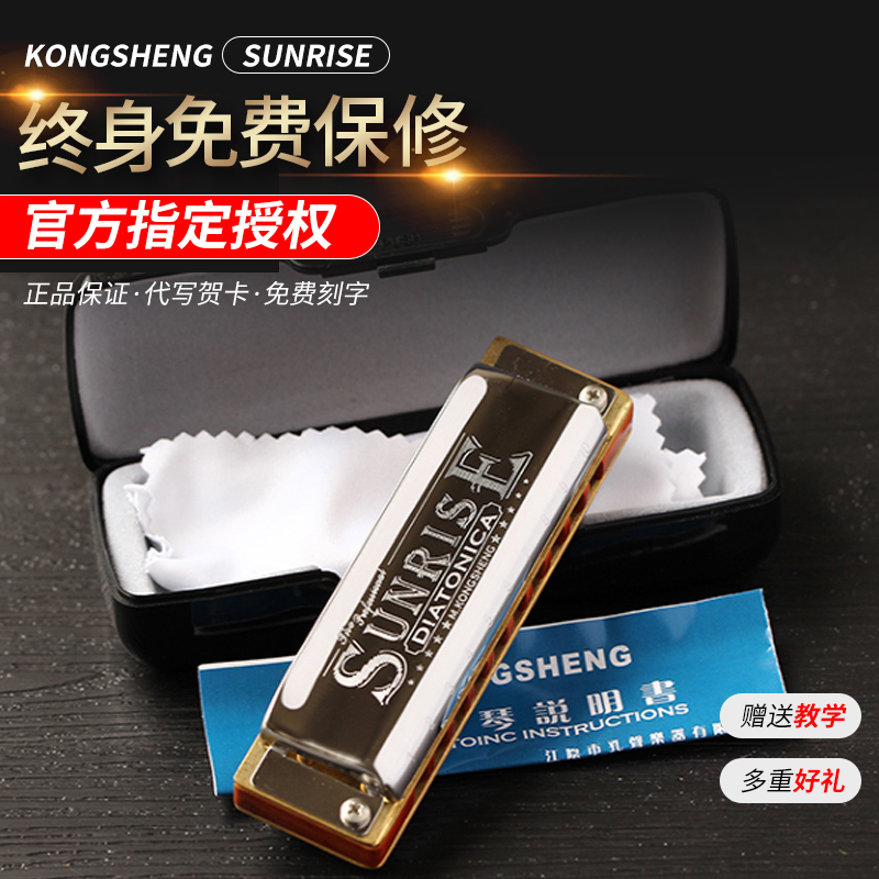 HOLE SOUND SUNRISE SUNRISE 10 Ten HOLE BLUES Blues Harmonica Beginner introduction Adult Professional Self-study