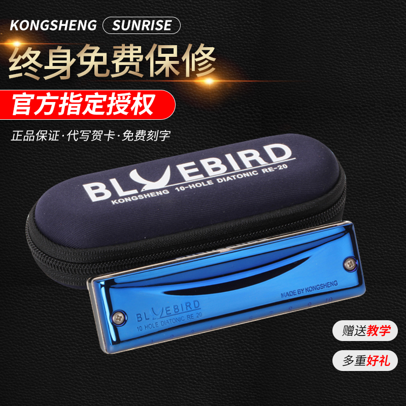 SUNRISE Harmonica 10 Ten-hole BLUES Blues Harmonica RE20 Beginner Self-study Adult Professional