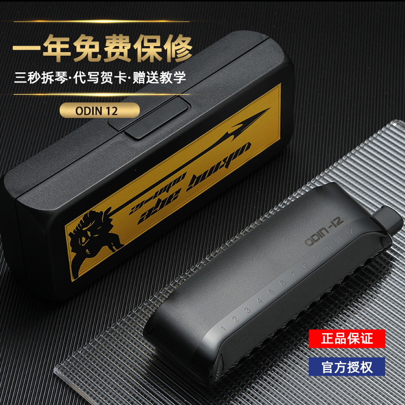 Odin Odin 12 Diatonic Harmonica for Beginners, Entry-Level Practice, Student Professional Performance Harmonica