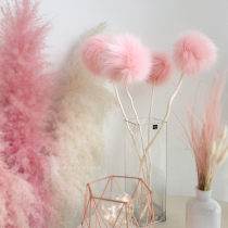 Man Island ins net red pink hair ball dragon willow branch dried flowers Nordic home decoration shop window flower arrangement shooting