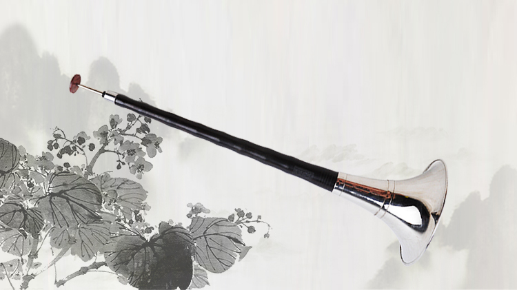 Wang C tập hợp đầy đủ các sậy được gửi chuyên nghiệp chơi nhạc cụ dân tộc cao cấp mun mun sáo mèo kép