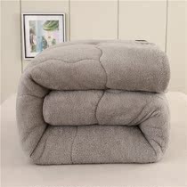 Thickened lambskin quilt quilt core Winter quilt warm quilt winter quilt Student dormitory single quilt double