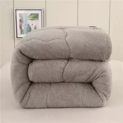 Thick lamb quilt quilt quilt core winter quilt warm quilt winter space by student dormitory single quilt double