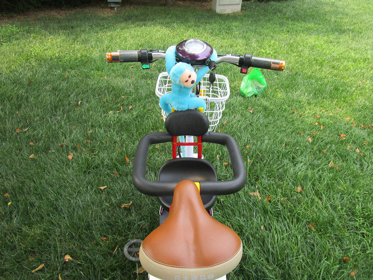 siège enfants pour vélo - Ref 2433187 Image 16