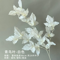 Пчелово-коричневые листья голубых птиц (белый)