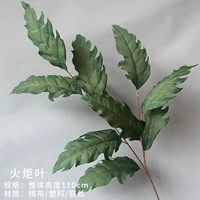 Факел листья зеленых