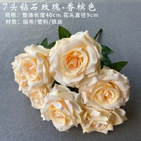 7 Алмазных роз-хвост цвета