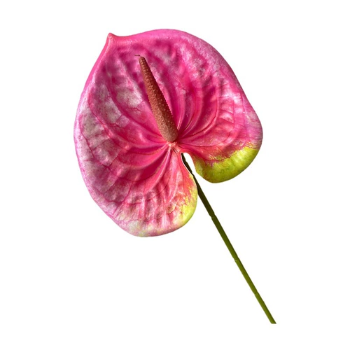 Симуляция 3D Красная ладонь белая ладонь, зеленая ладонь Свадебный свадебный свадебный цветочный материал, мягкий клей мягкий клей, домашнее украшение поддельные цветы