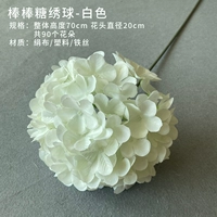 Шоколадная цветная леденцоволога (белая)