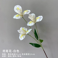 Радужная оболочка (белый)