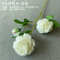 Красный пион (белый)