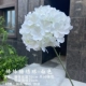 Deep Khaki Color Lollipop Hydrangea-White
