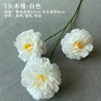 3 Гибискус (белый)