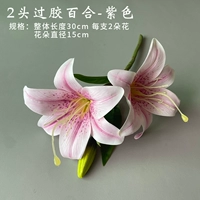 2 верхняя клейкая лилия (фиолетовый)