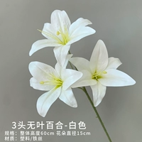 3 безлистная лилия (белая)