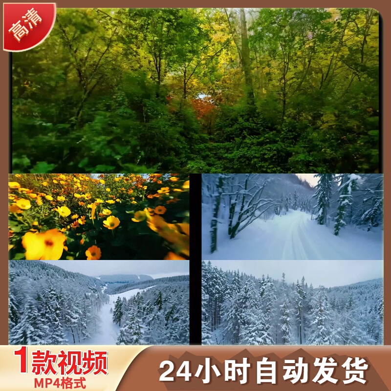 Spring, Summer, Autumn, and Winter Seasonal Changes Time-Lapse Photography Natural Scenery Tree Led Stage Background Video Clip Material