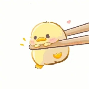 哦你说no